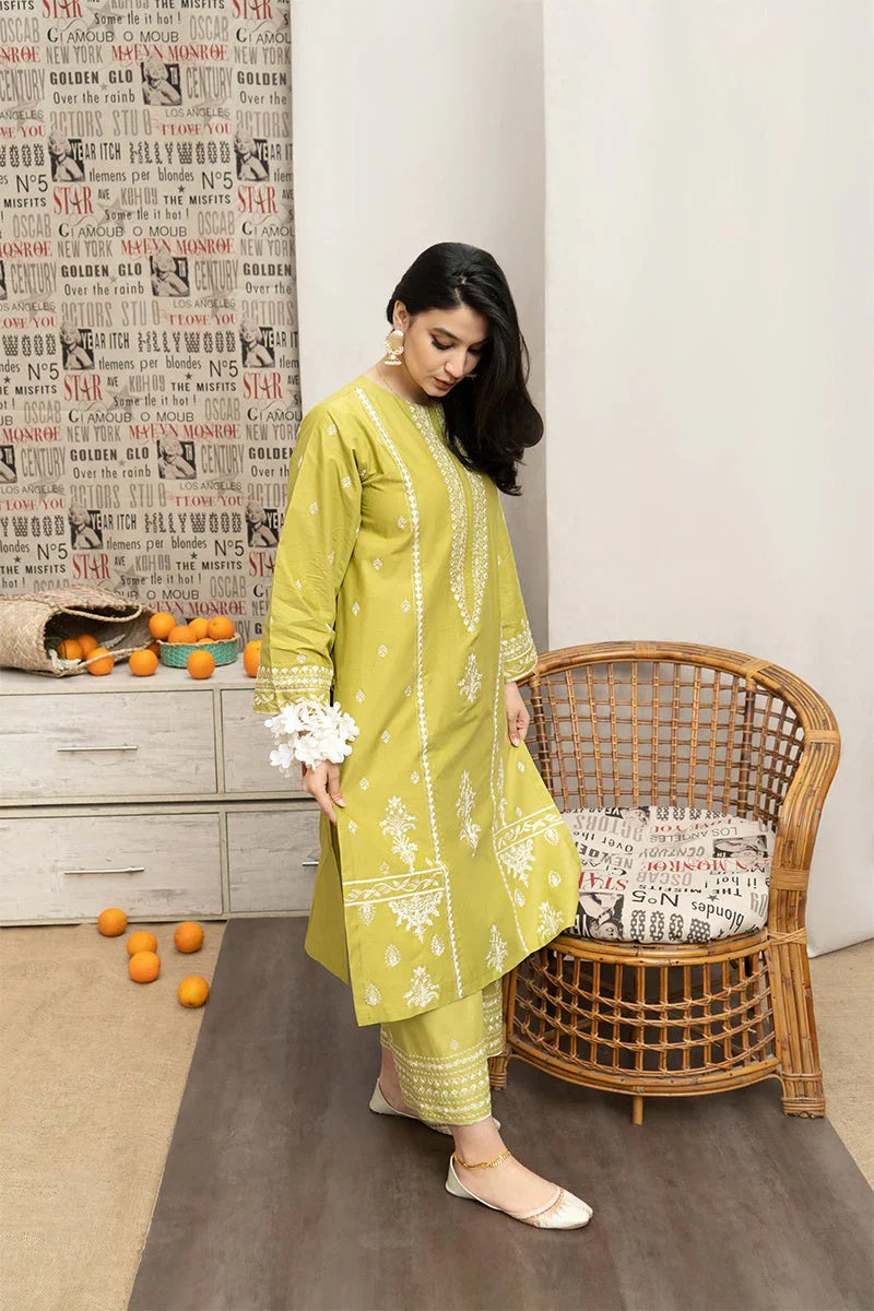 2 piece lawn suit