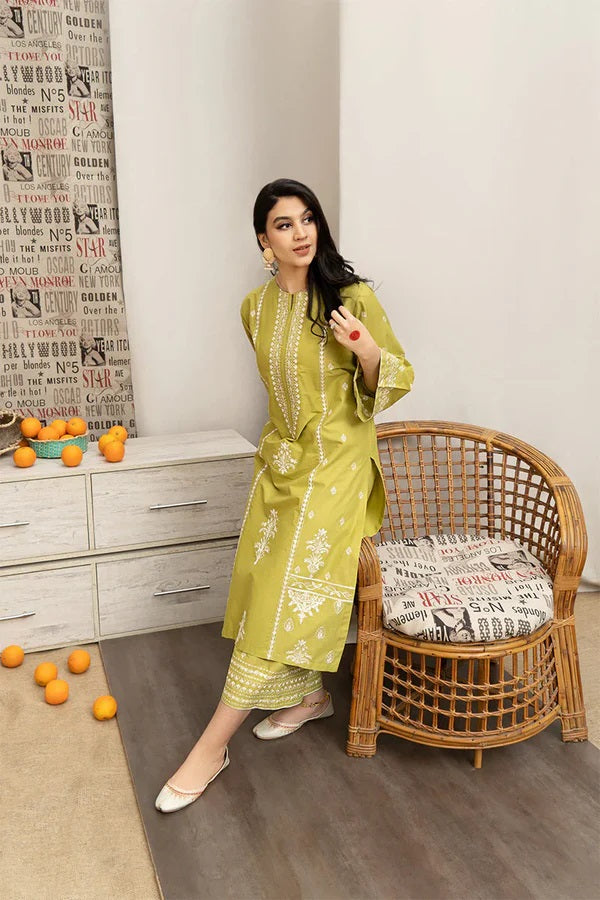 2 piece lawn suit